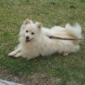 Meet your Posher, Adilene